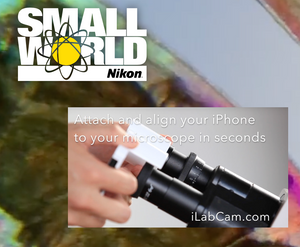 LabCam users takes Nikon Small World Competition 2 years in a row